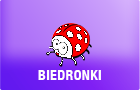 biedronki
